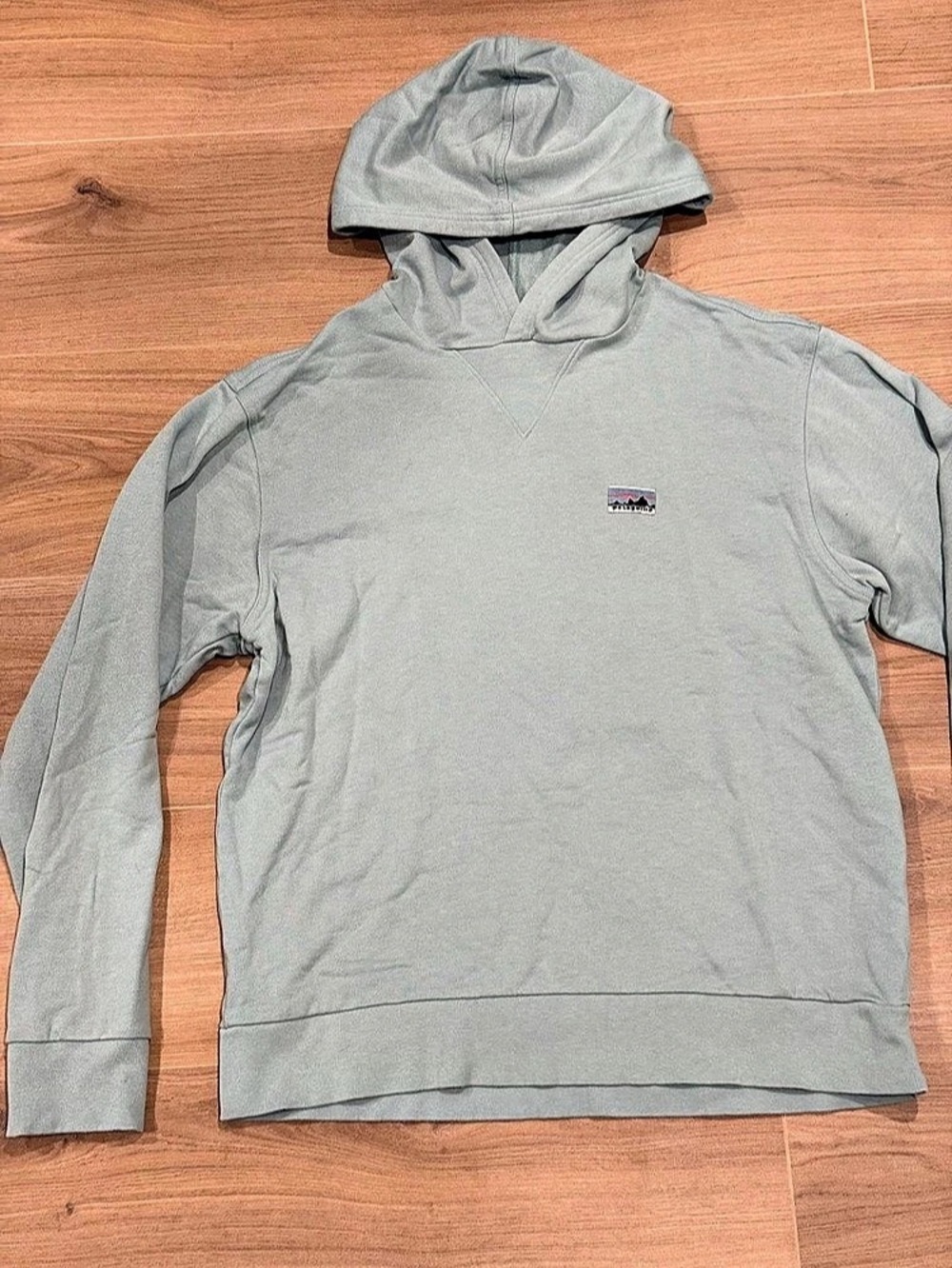 Patagonia P-6 Label Uprisal Hoody Long Sleeve Top in Green/Teal, Like New